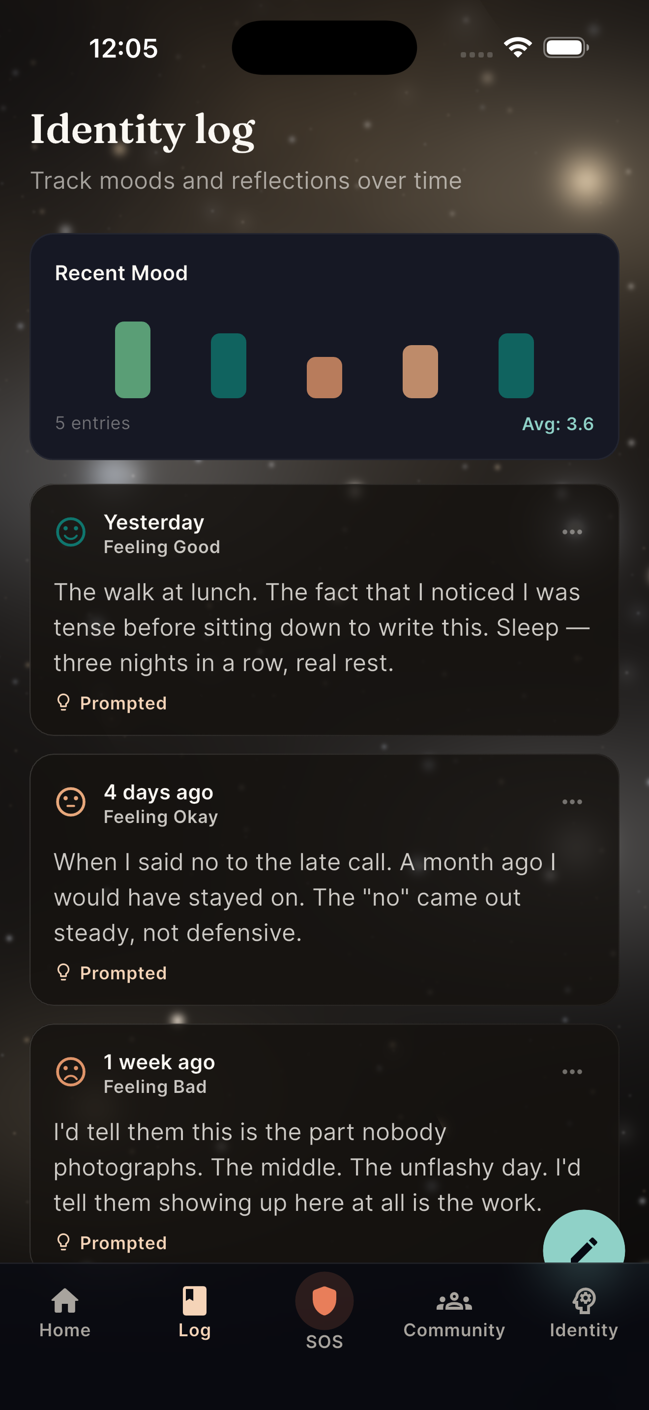 Identity Log — write what happened in your own words, search past entries